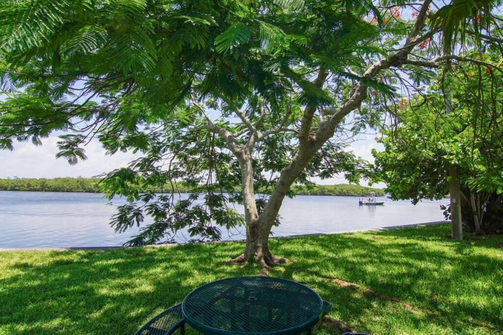 River Delight,Studio109, Beach & Pool Steps Away + Wifi Ruskin Extérieur photo